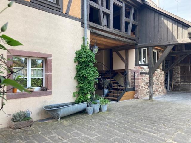 Joli Gite 2 Personnes En Alsace Guemar Exterior photo